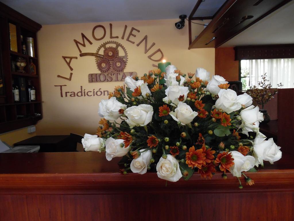 Hostal La Molienda Puyo Dış mekan fotoğraf
